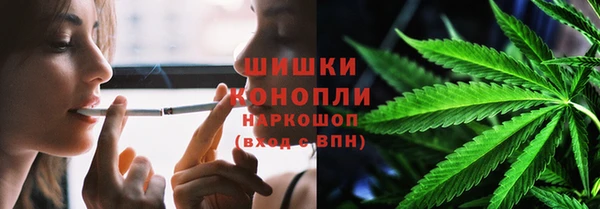 трава Карпинск