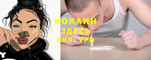 трава Карпинск