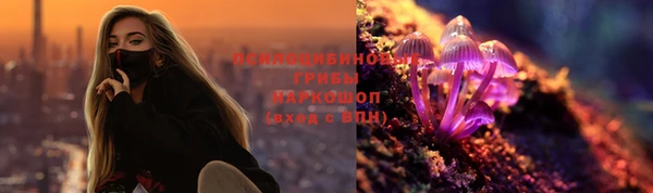 крисы Карталы