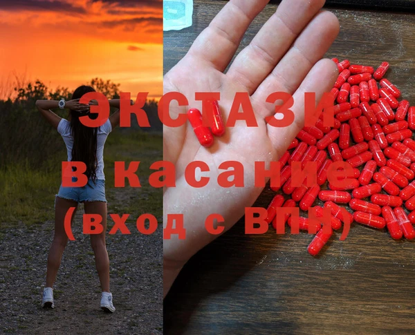 скорость Каменногорск