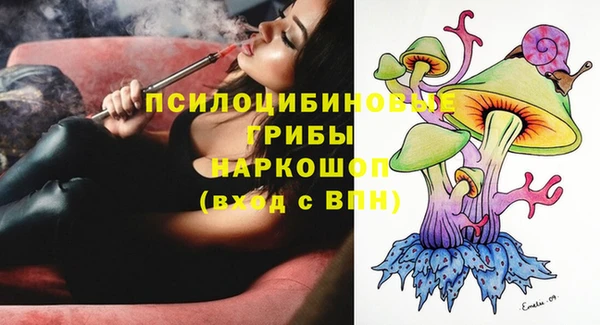 тгк Касимов