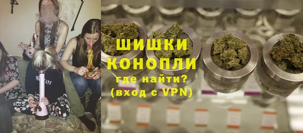 трава Карпинск
