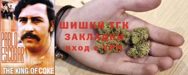 трава Карпинск