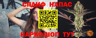 МДПВ Пушкино