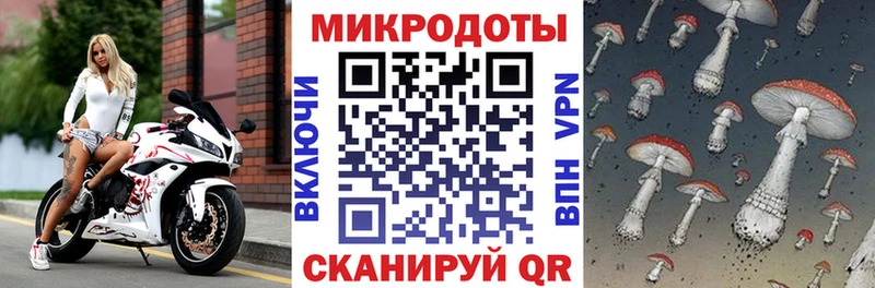 где найти   Мегион  Галлюциногенные грибы Magic Shrooms 