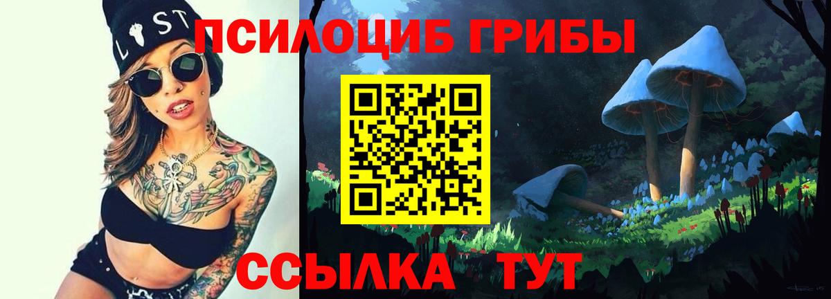 Галлюциногенные грибы мицелий  Вход с VPN  Мегион 